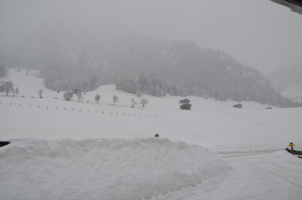 Appartement Leirer Alpbach Chambre photo